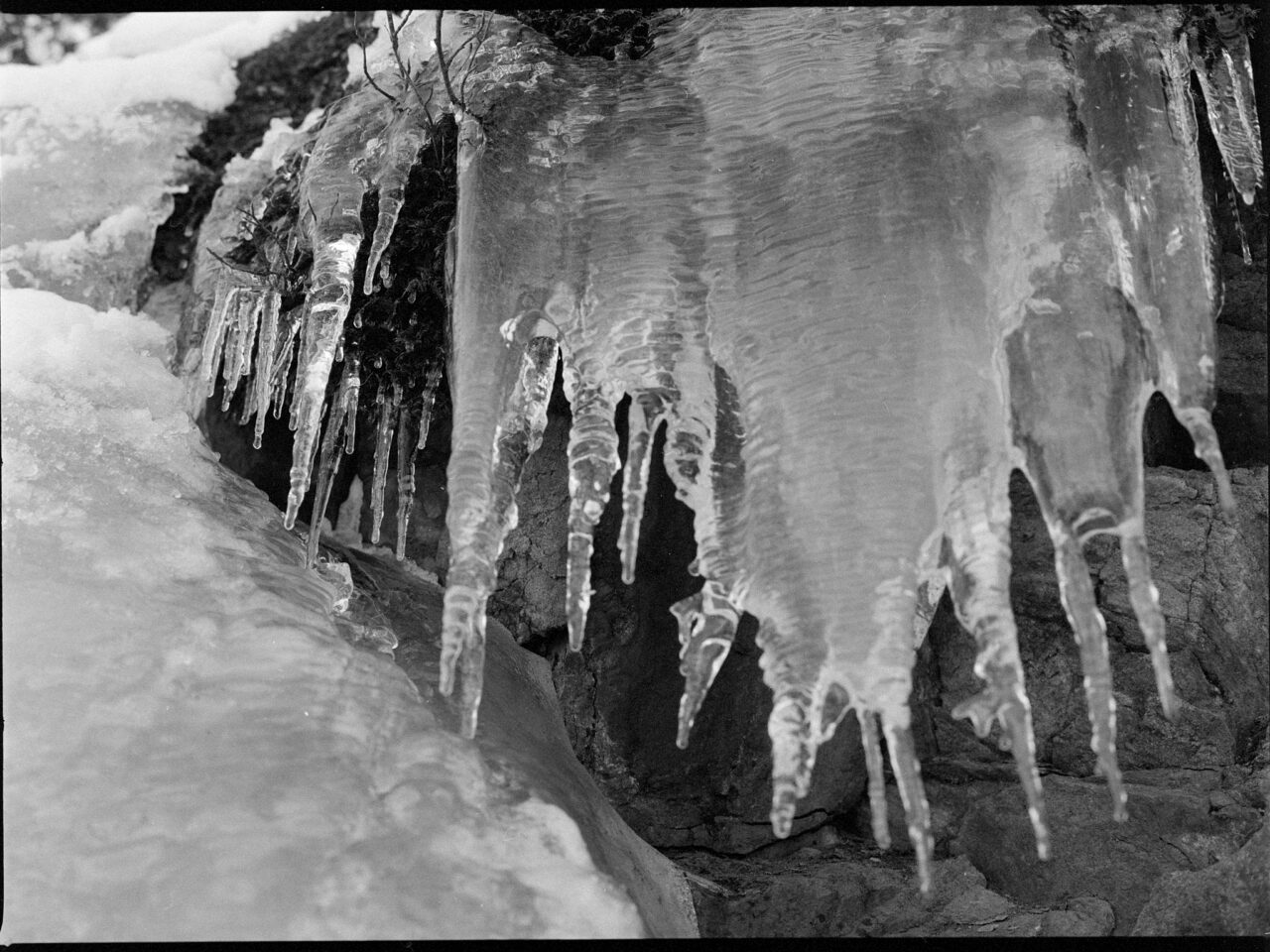 Jääpuikkoja kalliossa (mustavalkokuva, 120 filmi)