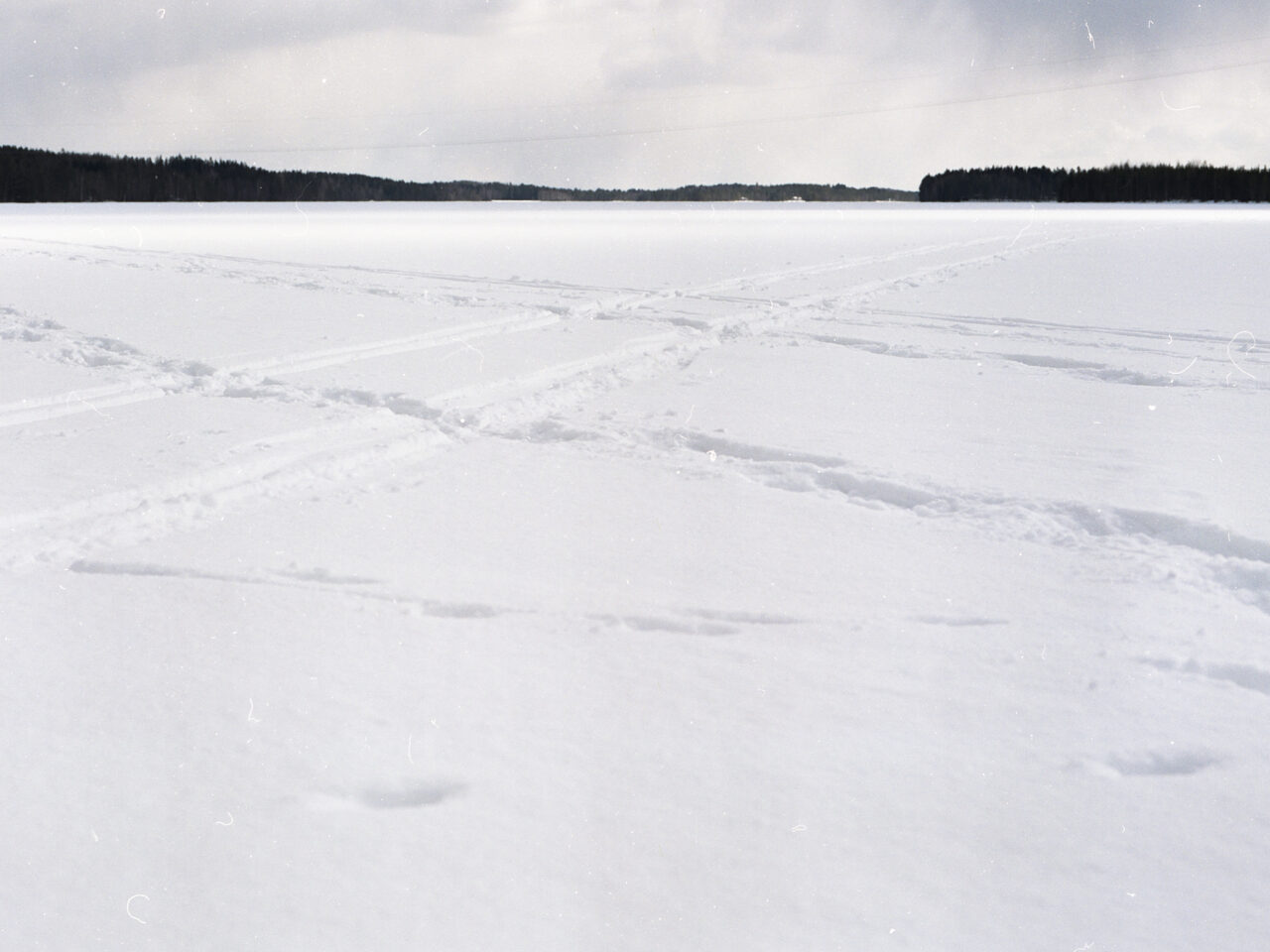 Suonenjoen keväthangilla (värikuva, 120 filmi)