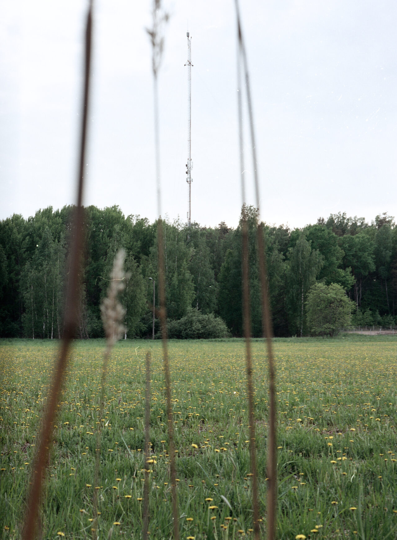 Ruohonpään ilmatorjuntabunkkerit (värikuva, 120 rullafilmi)